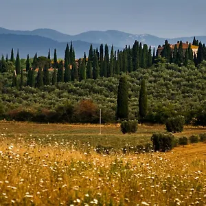 Landhuis Tenuta Di Poggio Cavallo Istia dʼOmbrone